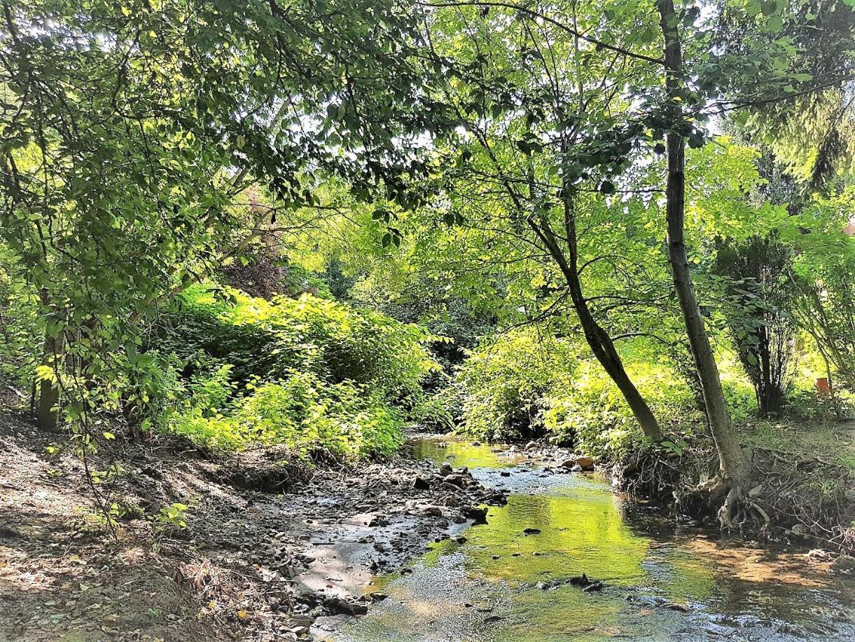 Muskatli Vendeghaz Hostel Parad Luaran gambar